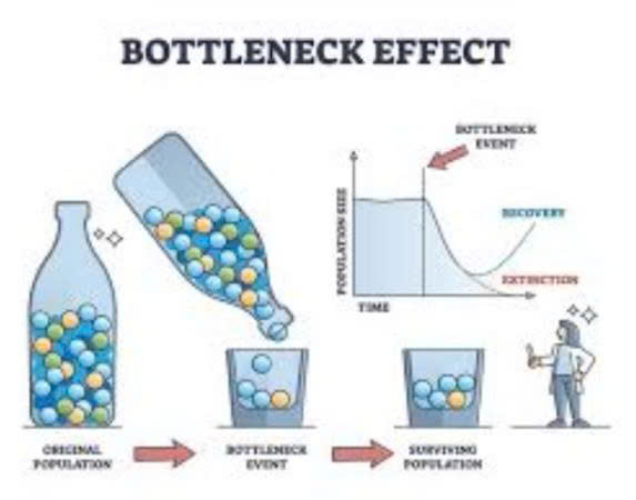 Nút Thắt Cổ Chai Lớn Nhất: Kiểm Thử Hồi Quy (Regression Testing)